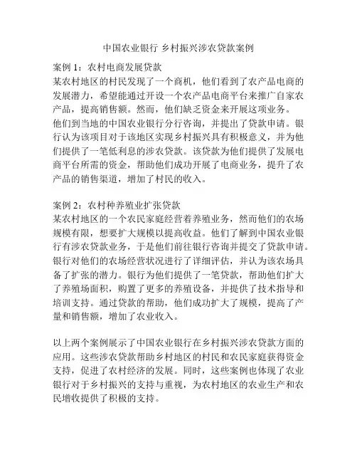 中国农业银行 乡村振兴涉农贷款案例