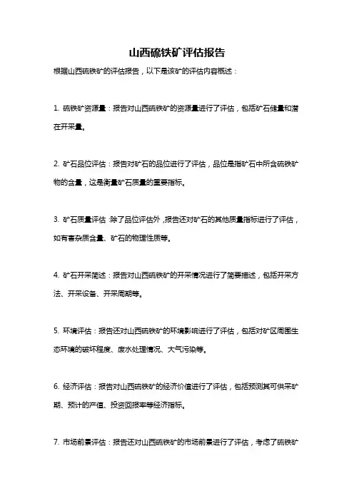 山西硫铁矿评估报告