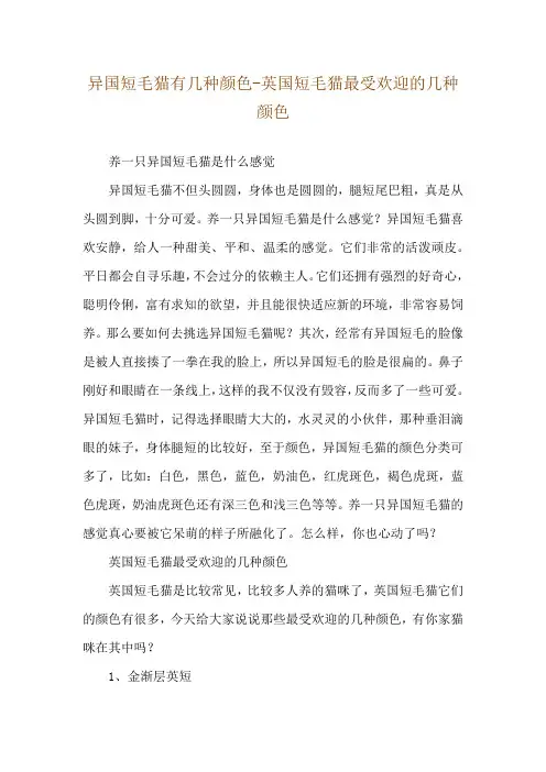 异国短毛猫有几种颜色-英国短毛猫最受欢迎的几种颜色