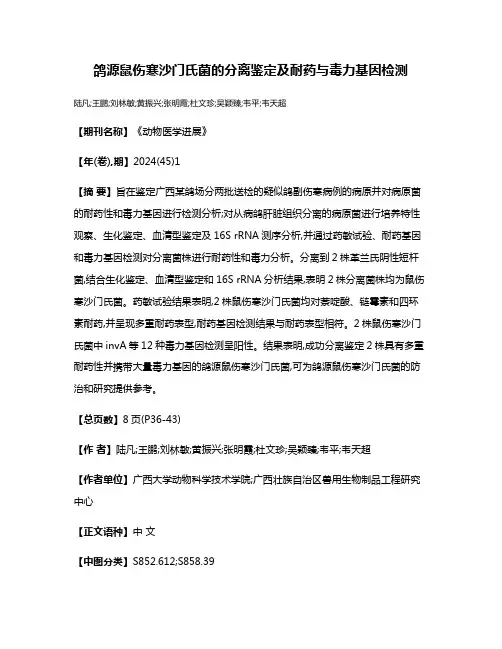 鸽源鼠伤寒沙门氏菌的分离鉴定及耐药与毒力基因检测