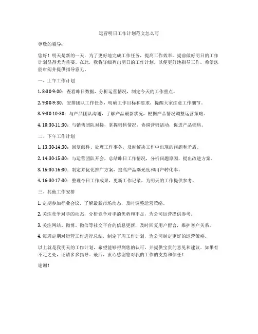 运营明日工作计划范文怎么写