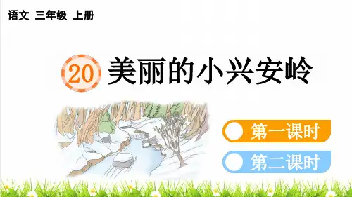 人教版三年级语文上册第六单元第20课《美丽的小兴安岭》教学课件