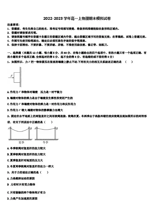 2022年浙江省“温州十校联合体”物理高一第一学期期末联考模拟试题含解析