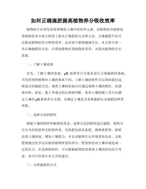 如何正确施肥提高植物养分吸收效率