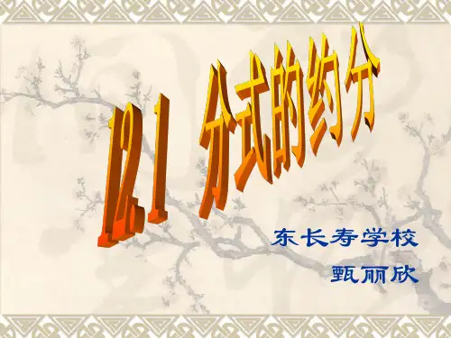 分式的约分(公开课课件)