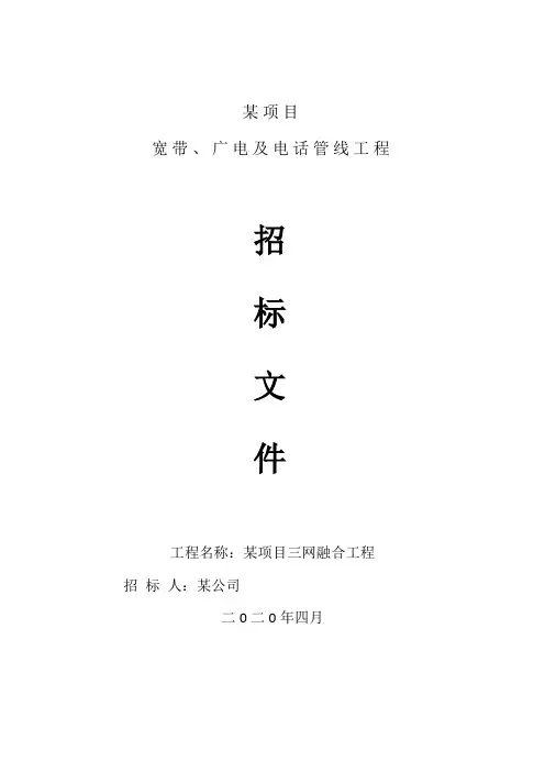 三网合一招标文件
