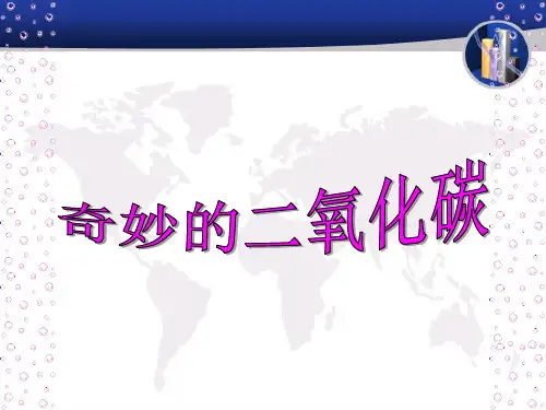 沪教版初中化学九年级上册 2.2 奇妙的二氧化碳  课件  (2)