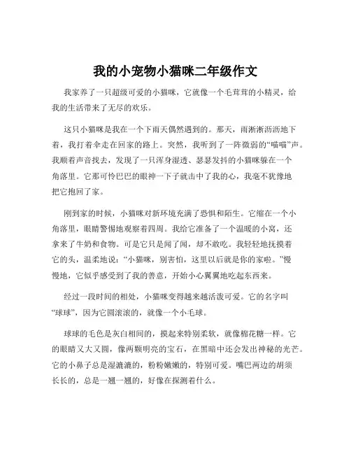 我的小宠物小猫咪二年级作文
