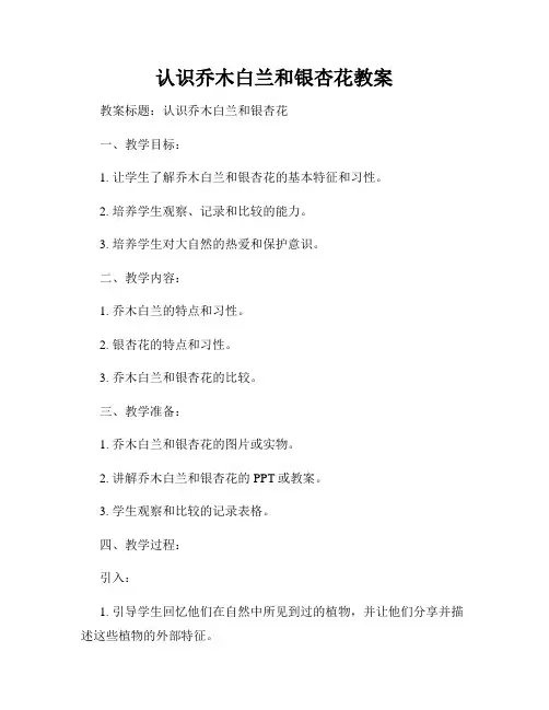 认识乔木白兰和银杏花教案