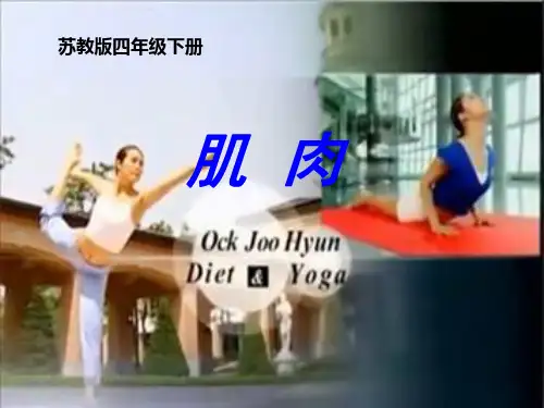 新苏教版四年级下册科学《肌肉》课件