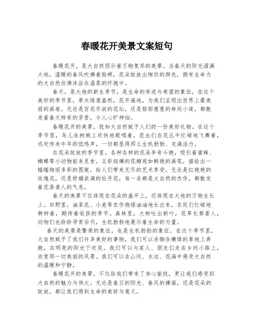 春暖花开美景文案短句