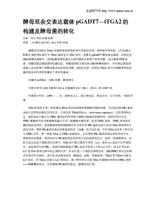 酵母双杂交表达载体pGADT7—tTGA2的构建及酵母菌的转化