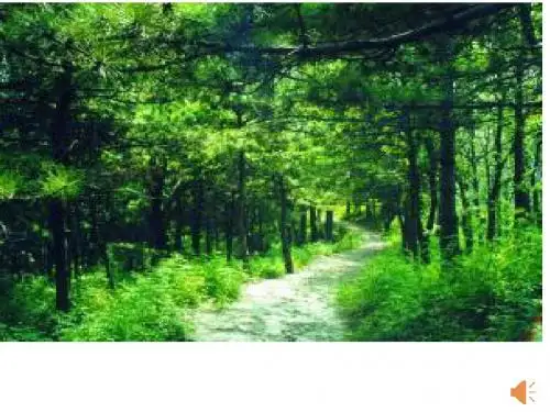 人教版七年级生物下册4.5.1尿的形成与排出课件