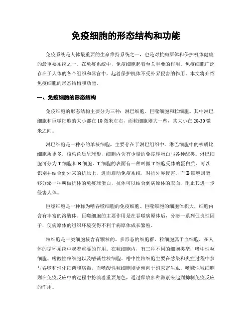 免疫细胞的形态结构和功能