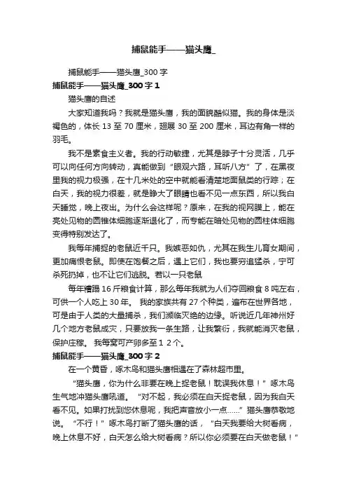 捕鼠能手——猫头鹰_