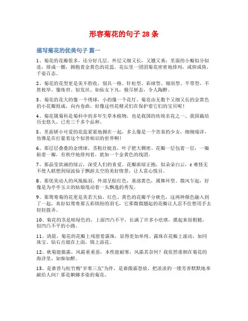 形容菊花的句子28条