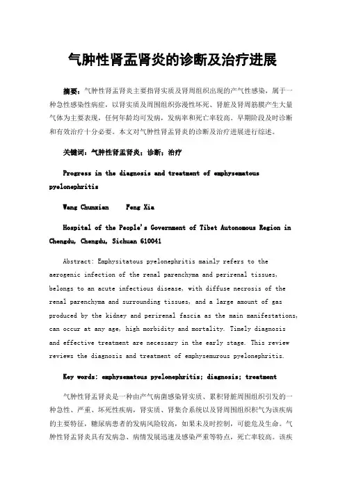 气肿性肾盂肾炎的诊断及治疗进展