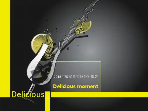 酸菜鱼市场分析报告精品PPT课件