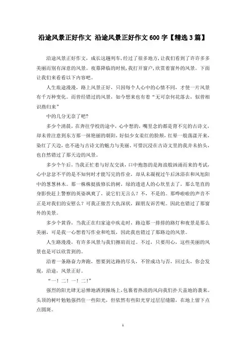 精选沿途风景正好作文 沿途风景正好作文600字【3篇】
