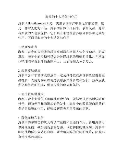 海参的十大功效与作用