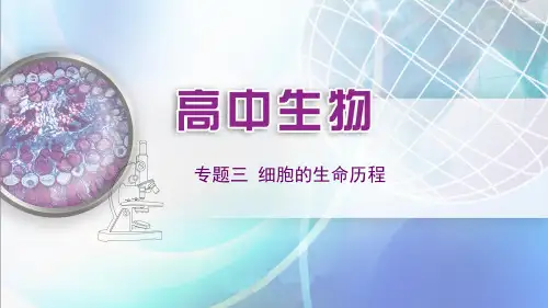 高考生物专题复习专题三细胞的生命历程