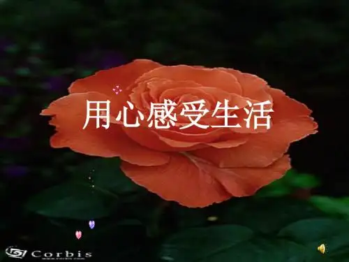 高中作文_用心感受生活(1)