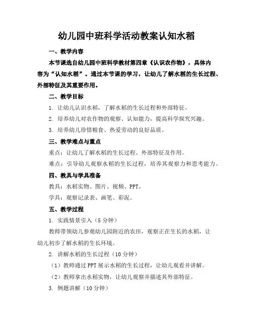 幼儿园中班科学活动教案认知水稻