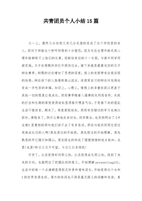 共青团员个人小结15篇