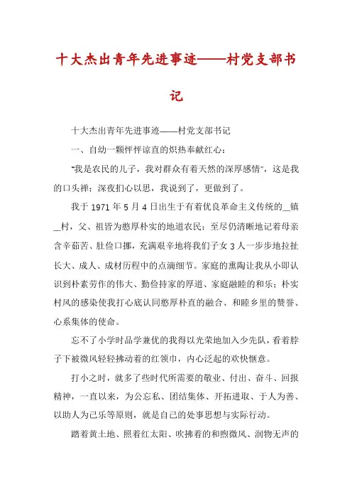 十大杰出青年先进事迹——村党支部书记