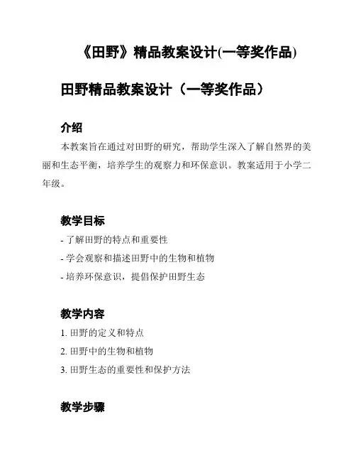 《田野》精品教案设计(一等奖作品)