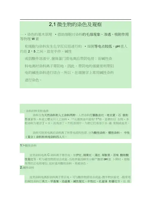 2.1微生物的染色及观察.