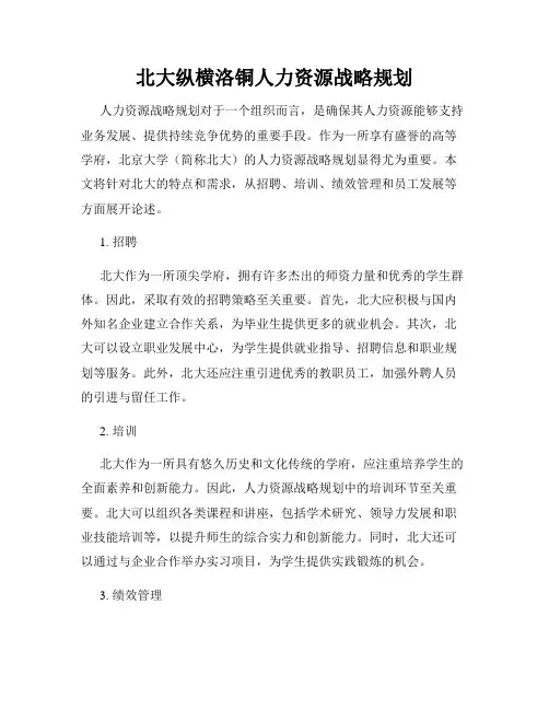 北大纵横洛铜人力资源战略规划