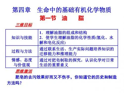 生命中的基础有机化学物质 课件  高中化学课件
