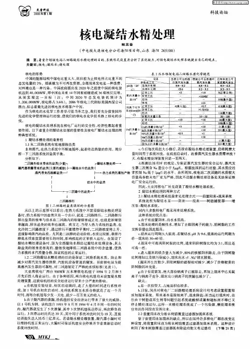 核电凝结水精处理