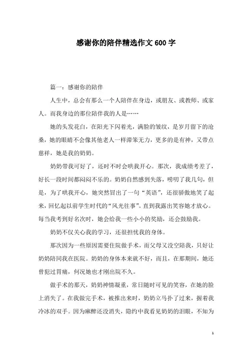 感谢你的陪伴精选作文600字