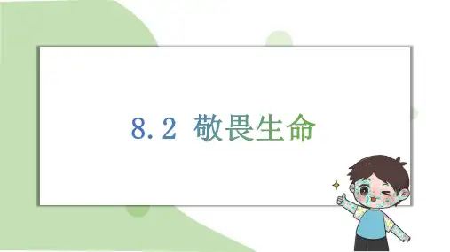 8.2敬畏生命课件(16张PPT) 2024-2025学年道德与法治统编版七年级上册.ppt