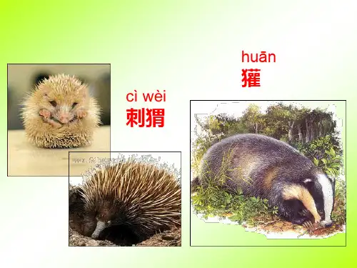 18《称赞》ppt  公开课一等奖课件9