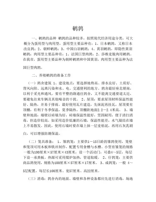 鹌鹑