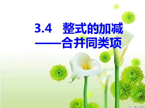 3.4整式的加减一一合并同类项说课稿课件北师大版七年级数学上册