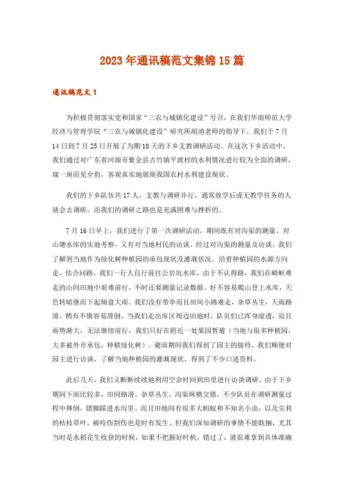 2023年通讯稿范文集锦15篇