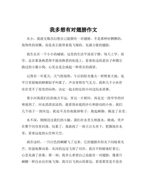 我多想有对翅膀作文