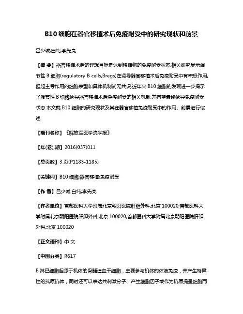 B10细胞在器官移植术后免疫耐受中的研究现状和前景