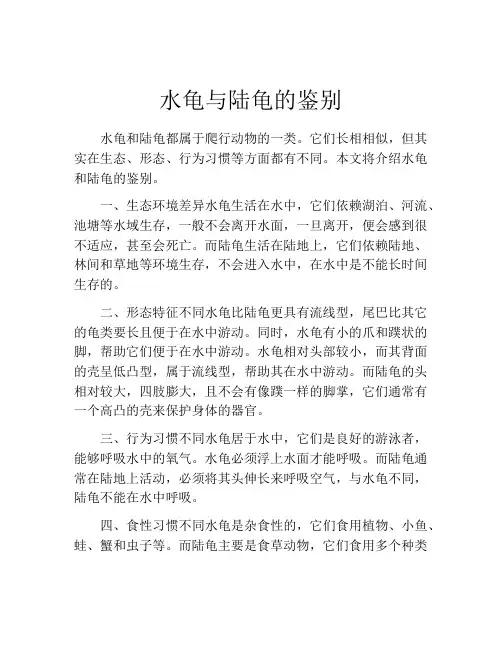 水龟与陆龟的鉴别