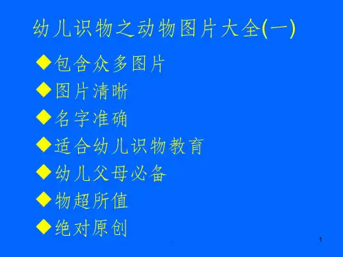 幼儿识物_____动物图片大全(一)ppt课件