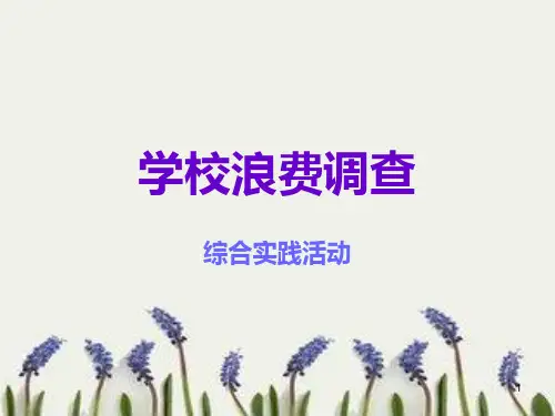 学校浪费调查PPT课件