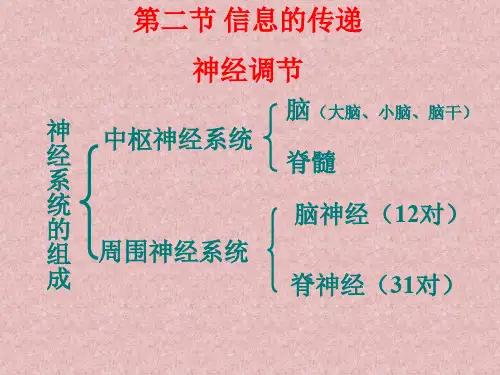 第四章：二三节非条件反射与条件反射课件人教版
