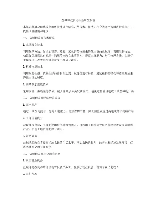 盐碱田改良可行性研究报告