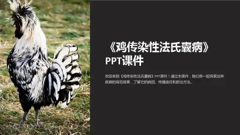 《鸡传染性法氏囊病》课件