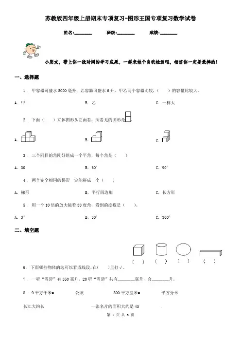 苏教版四年级上册期末专项复习-图形王国专项复习数学试卷