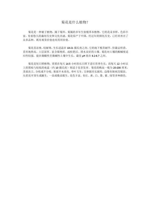 菊花是什么植物